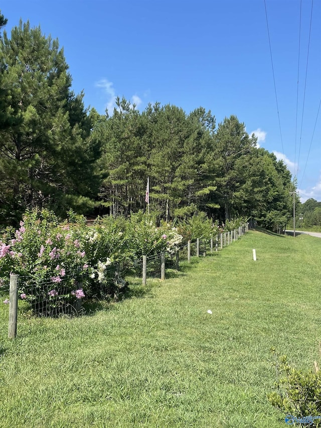 view of yard with a rural view