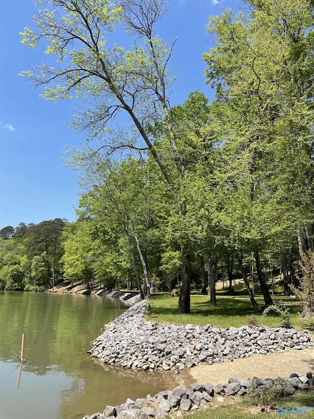 property view of water