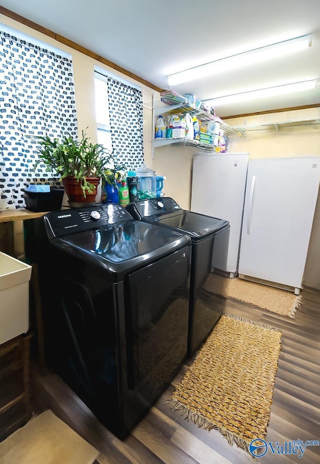 laundry area featuring hardwood / wood-style flooring and independent washer and dryer