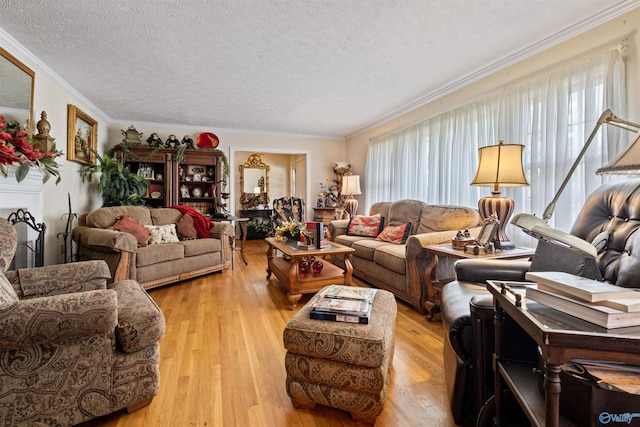 living room featuring a textured ceiling, light wood-type flooring, and ornamental molding