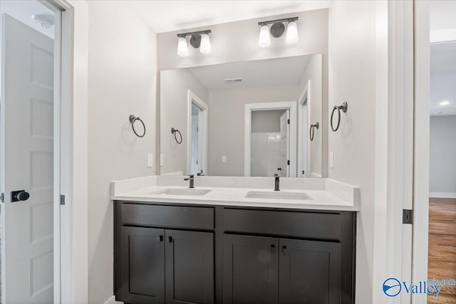 bathroom with vanity and hardwood / wood-style floors