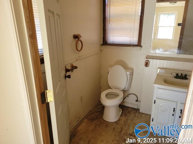 bathroom featuring hardwood / wood-style flooring, vanity, and toilet