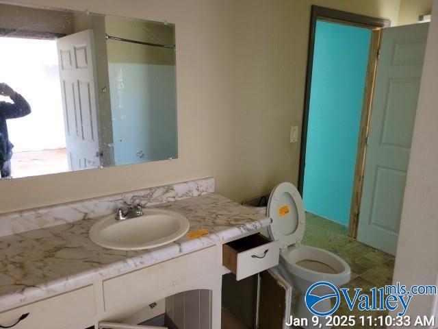 bathroom with vanity and toilet