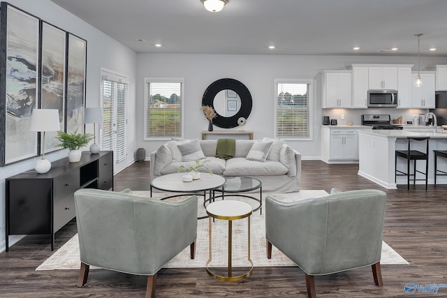 living room featuring dark hardwood / wood-style floors and sink