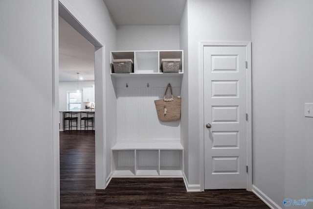 mudroom featuring dark hardwood / wood-style flooring