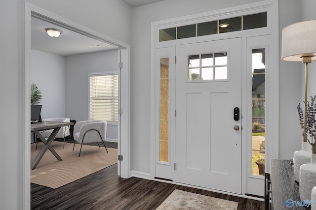 foyer entrance featuring dark wood-type flooring