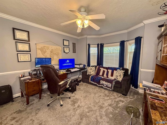 166 Hickory Rdg, Glencoe, AL 35905 - office space featuring carpet floors, a textured ceiling, a ceiling fan, crown molding, and baseboards