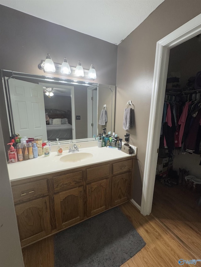 bathroom with wood-type flooring and vanity