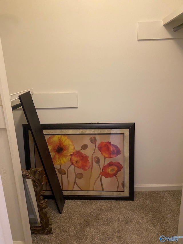 interior details featuring baseboards and carpet flooring