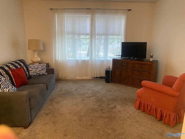 living area featuring plenty of natural light and light colored carpet