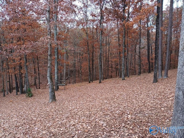 view of landscape