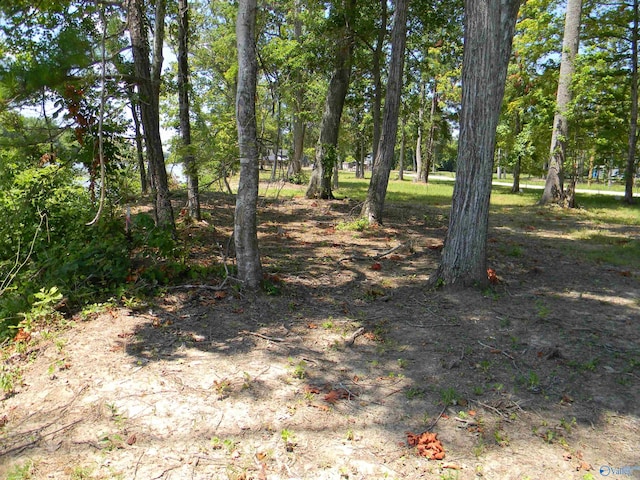 LOTS37-38 County Road 182, Cedar Bluff AL, 35959 land for sale