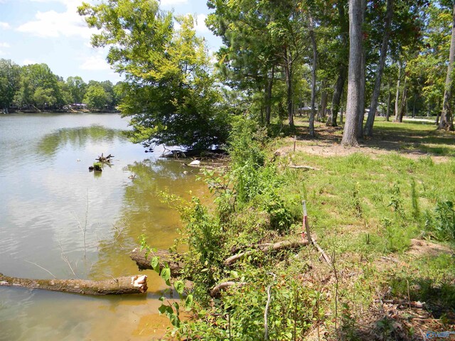 LOTS37-38 County Road 182, Cedar Bluff, AL 35959