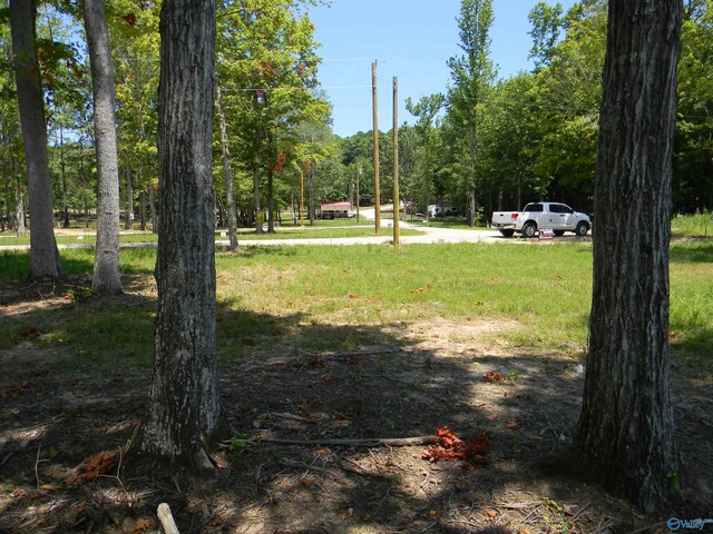 LOTS37-38 County Road 182, Cedar Bluff, AL 35959