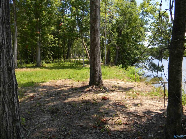 LOTS37-38 County Road 182, Cedar Bluff, AL 35959