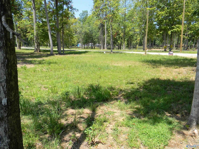 LOTS37-38 County Road 182, Cedar Bluff, AL 35959