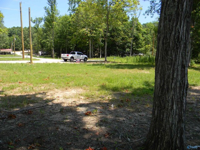LOTS37-38 County Road 182, Cedar Bluff, AL 35959
