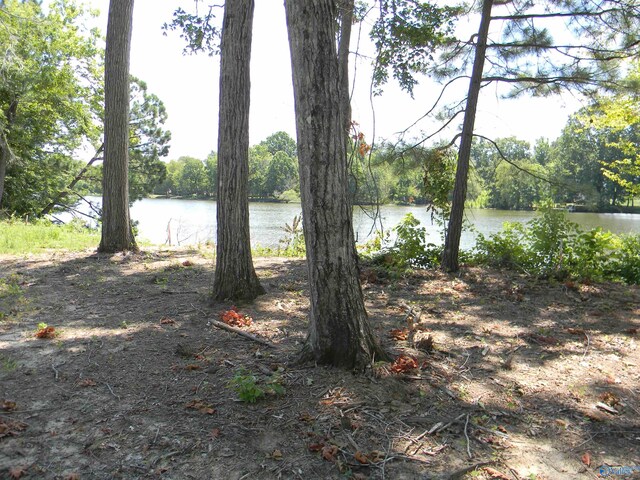LOTS37-38 County Road 182, Cedar Bluff, AL 35959