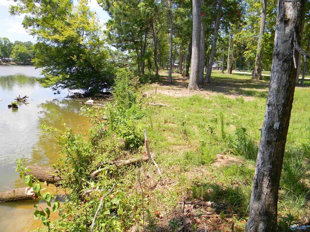 LOTS37-38 County Road 182, Cedar Bluff, AL 35959