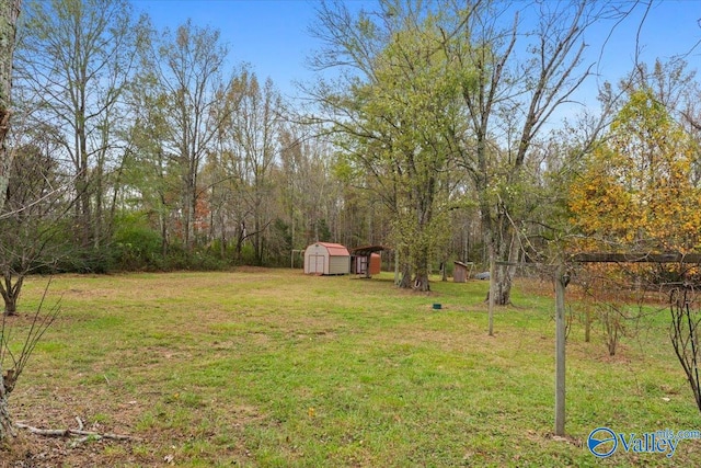 view of yard with a storage shed