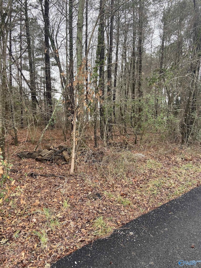 3/-ACRES Bridge Point Rd, Southside AL, 35907 land for sale