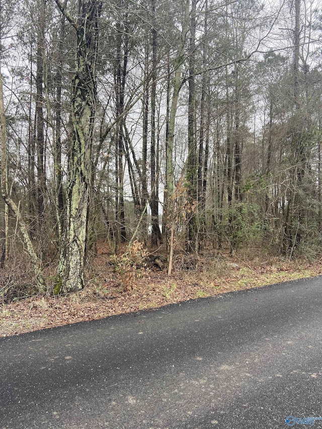 Listing photo 2 for 3/-ACRES Bridge Point Rd, Southside AL 35907