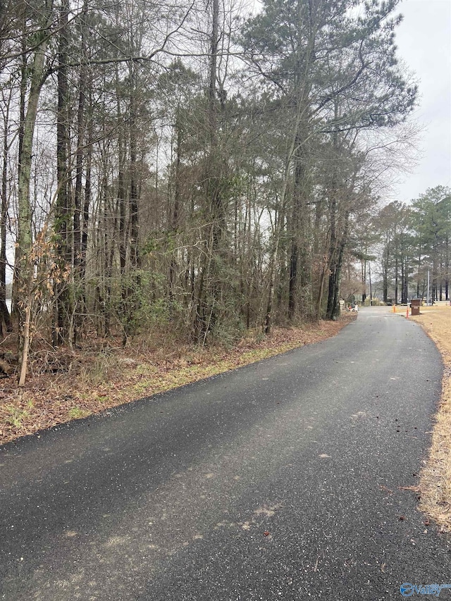 Listing photo 3 for 3/-ACRES Bridge Point Rd, Southside AL 35907