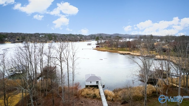 property view of water