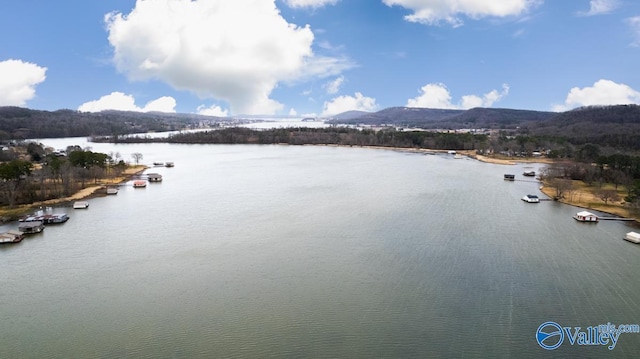 water view with a mountain view