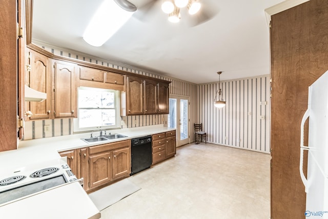 kitchen featuring pendant lighting, sink, black dishwasher, white refrigerator, and ceiling fan