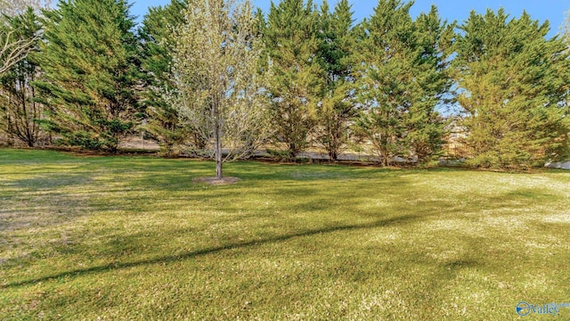 view of yard