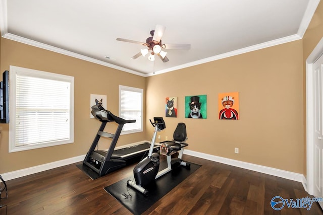 exercise room with ceiling fan, crown molding, and dark wood-type flooring