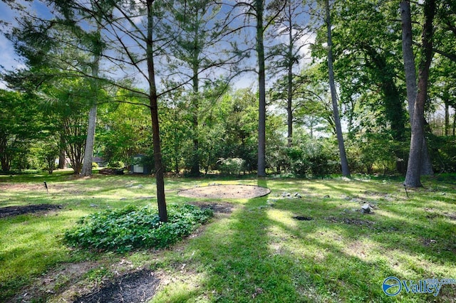 2614 Vista Dr SE, Huntsville, AL 35803 - view of grassy yard