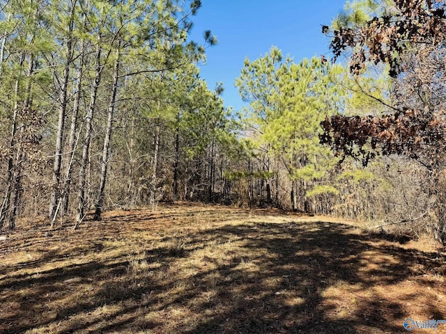 Listing photo 2 for 4.22ACRES S Sauty Rd, Langston AL 35755