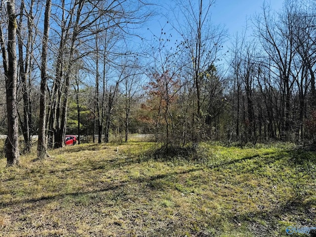 Listing photo 3 for 4.22ACRES S Sauty Rd, Langston AL 35755