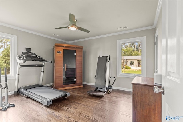 workout area with ceiling fan, hardwood / wood-style flooring, and ornamental molding