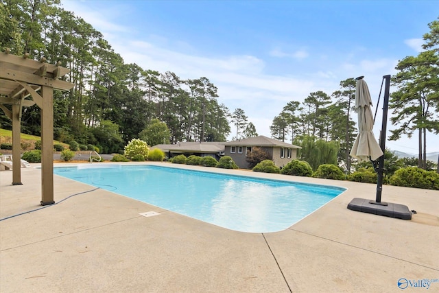 view of pool featuring a patio area