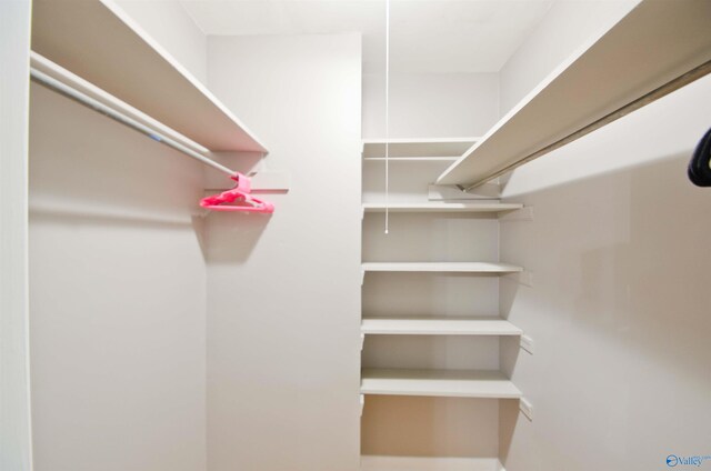 view of walk in closet