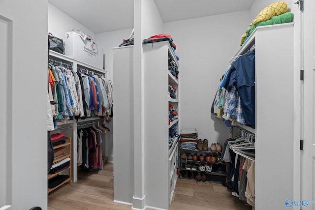 6320 Loring Loop NW, Huntsville, AL 35806 - walk in closet featuring wood finished floors