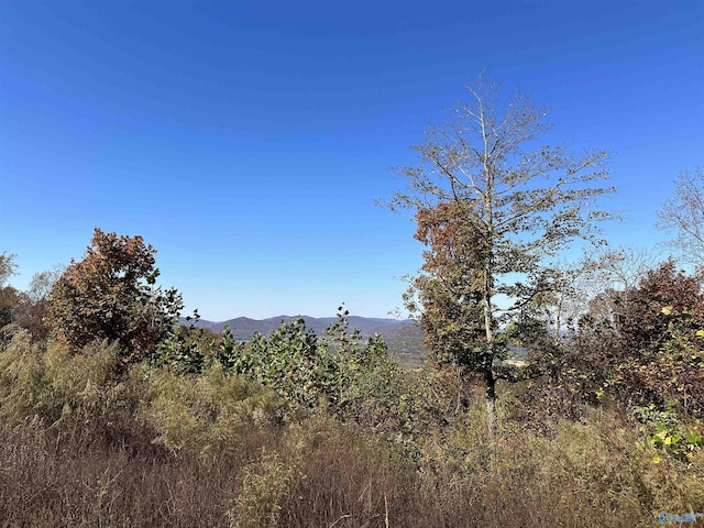 Listing photo 2 for 4ACRES Keel Mountain Rd, Gurley AL 35748