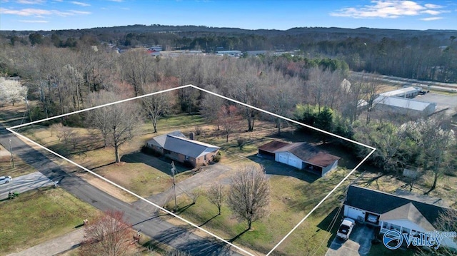 birds eye view of property with a view of trees and a rural view