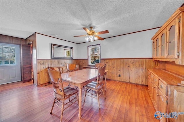 dining area with light wood-type flooring, a wainscoted wall, and plenty of natural light