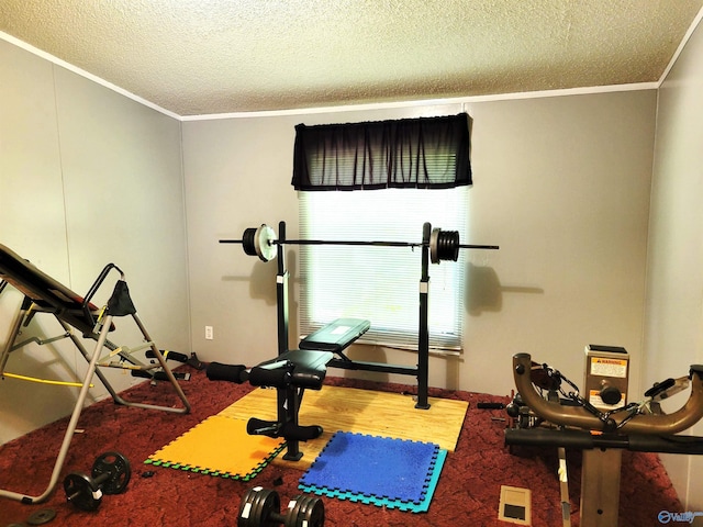 exercise area with crown molding, a textured ceiling, and carpet