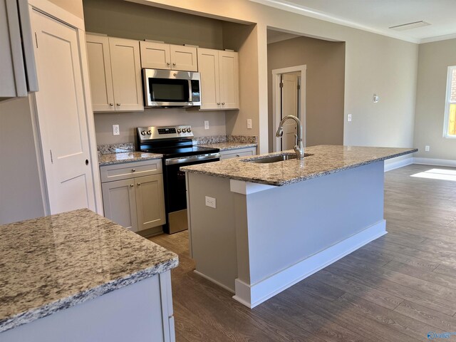 kitchen featuring dark wood finished floors, light stone counters, stainless steel appliances, and a sink