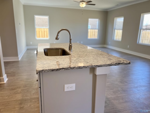 kitchen with crown molding, open floor plan, a healthy amount of sunlight, and a sink