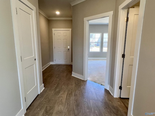 hall with baseboards, dark wood finished floors, and crown molding