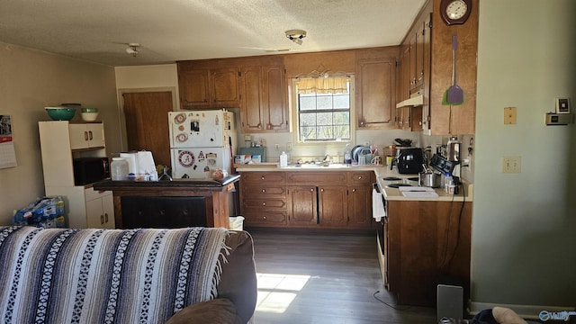 kitchen featuring a textured ceiling, dark hardwood / wood-style flooring, sink, and white appliances