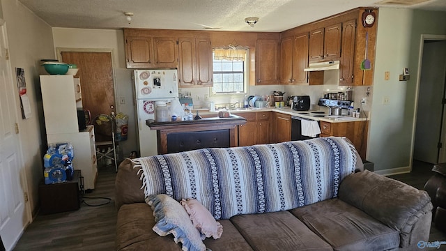 kitchen featuring hardwood / wood-style flooring, sink, white appliances, and a textured ceiling