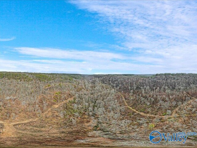 130ACRES Wyeth Dr, Guntersville AL, 35976 land for sale