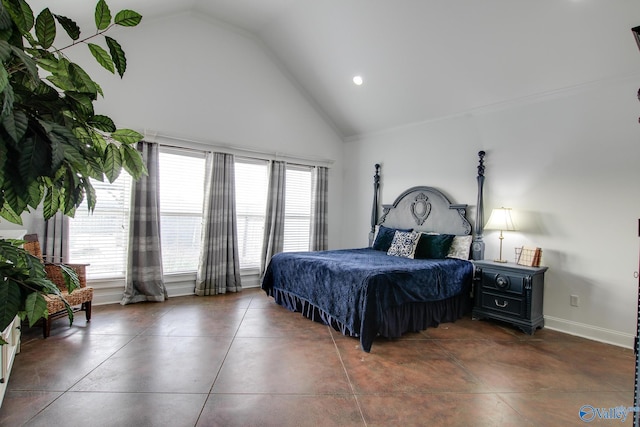 bedroom featuring high vaulted ceiling